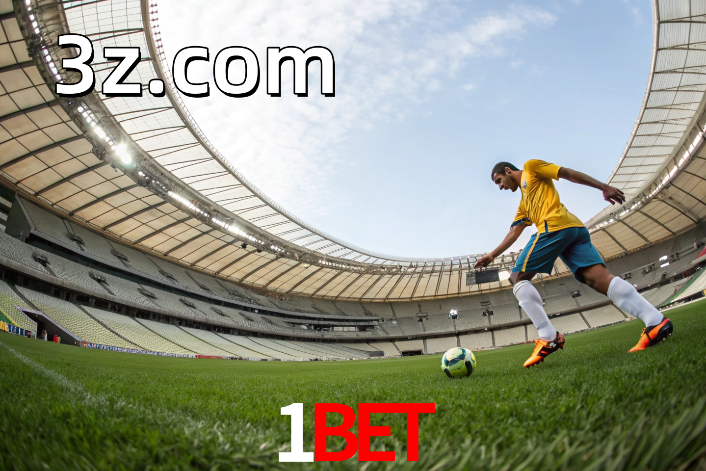 apostas esportivas